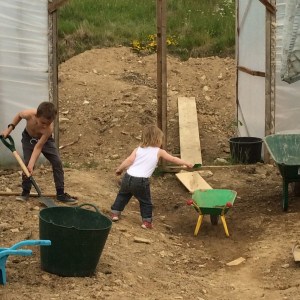 Digging out a polytunnel in Wales