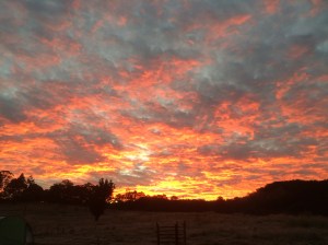 Red sky in the morning, our delight?