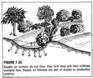 figure7-23swale
